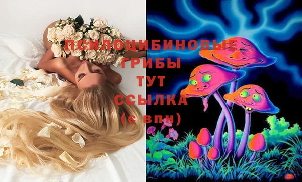 бошки Алзамай