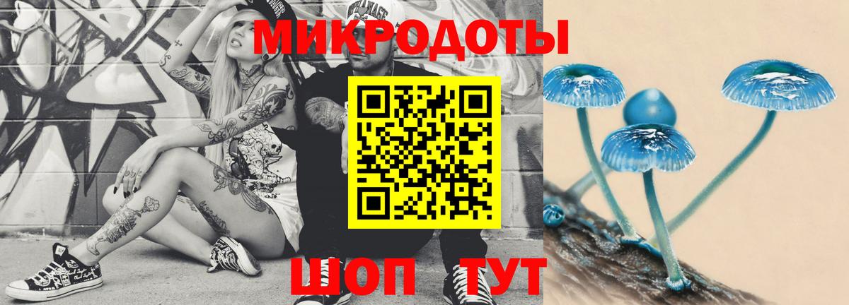 Галлюциногенные грибы мухоморы Чистополь